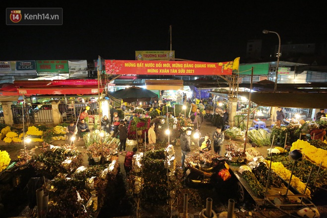 Hoa nở đúng dịp Tết, người dân làng Tây Tựu vẫn thấp thỏm vì dịch Covid-19: Có người mua hoa nhưng giá quá rẻ - Ảnh 11.