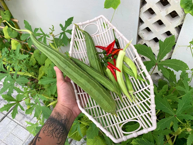 9X bỏ phố về quê Tây Ninh xây nhà 2 tỷ, thu nhập chỉ bằng 1/10 ngày xưa nhưng cuộc sống chill lắm - Ảnh 20.