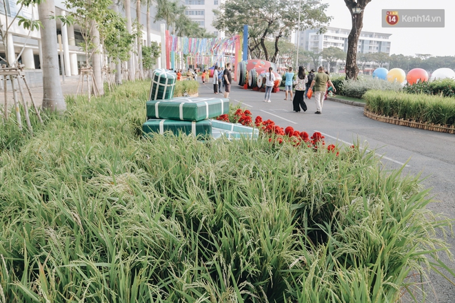 Cận cảnh đường hoa Tết Tân Sửu 2021 phong cách tối giản tại phố nhà giàu Sài Gòn - Ảnh 14.