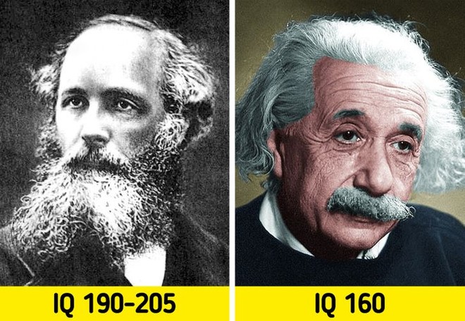 Hơn cả thiên tài: Những người có chỉ số IQ còn cao hơn Albert Einstein, và đây là những gì họ đã làm để kiếm sống - Ảnh 11.