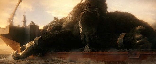 Giải mã toàn bộ tình tiết bí ẩn của Godzilla vs Kong: Chuyện gì đã thực sự xảy ra với quê hương Ninh Bình? - Ảnh 3.