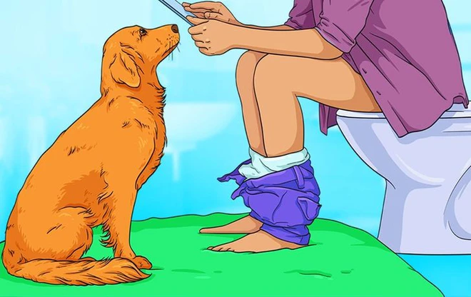 7 hành động kỳ quái của chú chó bạn nuôi và lý do đằng sau ai cũng cần biết, đặc biệt là hành động cuối cùng - Ảnh 1.