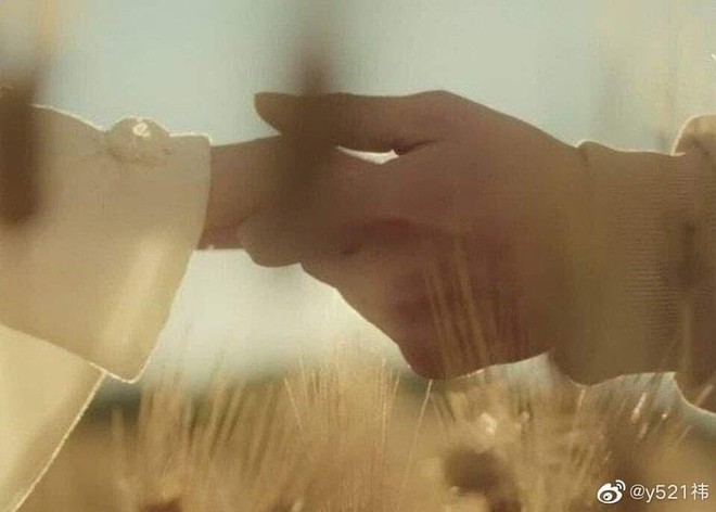 Cảnh nắm tay của Cảnh Điềm - Trương Bân Bân trong Tư Đằng gây sốc, netizen ví như công chúa và người khổng lồ - Ảnh 2.