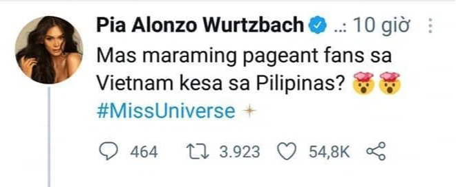 Cùng là Miss Universe người Philippines nhưng Catriona Gray lại ghi điểm với fan Việt hơn hẳn Pia Wurtzbach! - Ảnh 1.