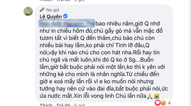 Bị đặt điều vô ơn với cố nhạc sĩ Thanh Bình, Lệ Quyên đanh thép đáp trả khiến netizen xấu hổ phải xoá bình luận - Ảnh 4.