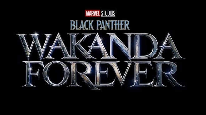 Black Panther 2 được sản xuất mà không có Chadwick Boseman, netizen nháo nhào tranh cãi về người kế vị - Ảnh 4.