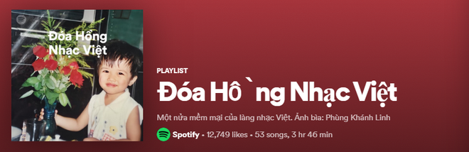Lên ngay Spotify tìm playlist của dàn nghệ sĩ Vpop: Hoàng Thùy Linh, Bích Phương, Binz, AMEE,... đều bị đổi thành ai lạ hoắc thế này? - Ảnh 12.