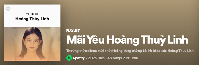 Lên ngay Spotify tìm playlist của dàn nghệ sĩ Vpop: Hoàng Thùy Linh, Bích Phương, Binz, AMEE,... đều bị đổi thành ai lạ hoắc thế này? - Ảnh 18.