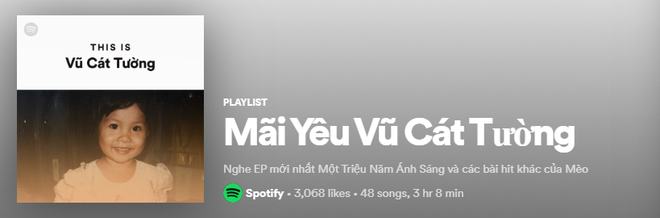 Lên ngay Spotify tìm playlist của dàn nghệ sĩ Vpop: Hoàng Thùy Linh, Bích Phương, Binz, AMEE,... đều bị đổi thành ai lạ hoắc thế này? - Ảnh 20.