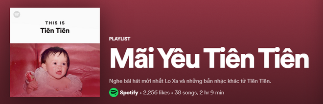 Lên ngay Spotify tìm playlist của dàn nghệ sĩ Vpop: Hoàng Thùy Linh, Bích Phương, Binz, AMEE,... đều bị đổi thành ai lạ hoắc thế này? - Ảnh 22.