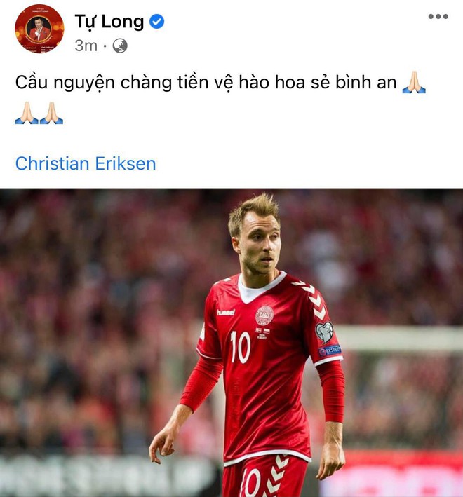Diệu Nhi bật khóc, Trịnh Thăng Bình và dàn sao Việt cầu nguyện cho cầu thủ Eriksen tuyển Đan Mạch đột ngột ngã gục trên sân đấu Euro - Ảnh 11.