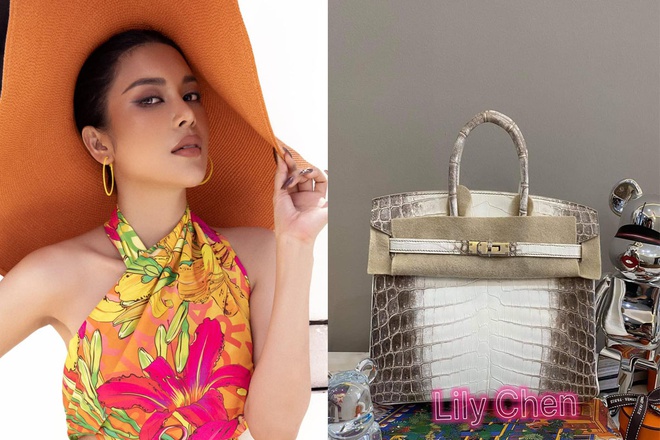 LiLy Chen - mỹ nhân bị đồn yêu cùng 1 tỷ phú với Ngọc Trinh: Tuổi thơ cơ cực sống bằng tiền từ thiện, nay sở hữu tài sản hàng chục tỷ đồng - Ảnh 2.