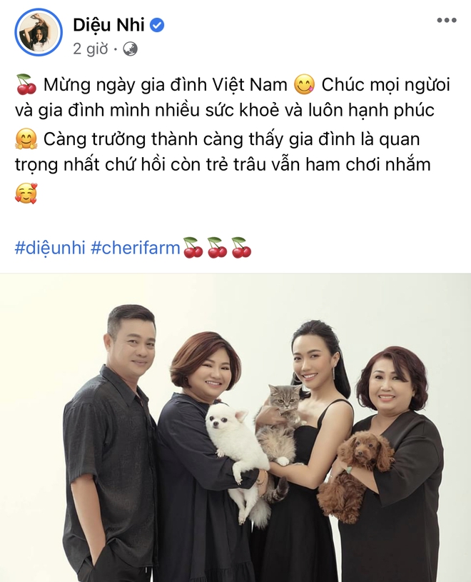 Ngập trời sao Vbiz chia sẻ nhân ngày Gia đình Việt Nam: Đoan Trang khoe hội anh em nhà người ta, H’Hen Niê - Tiểu Vy chung 1 nỗi lòng - Ảnh 13.