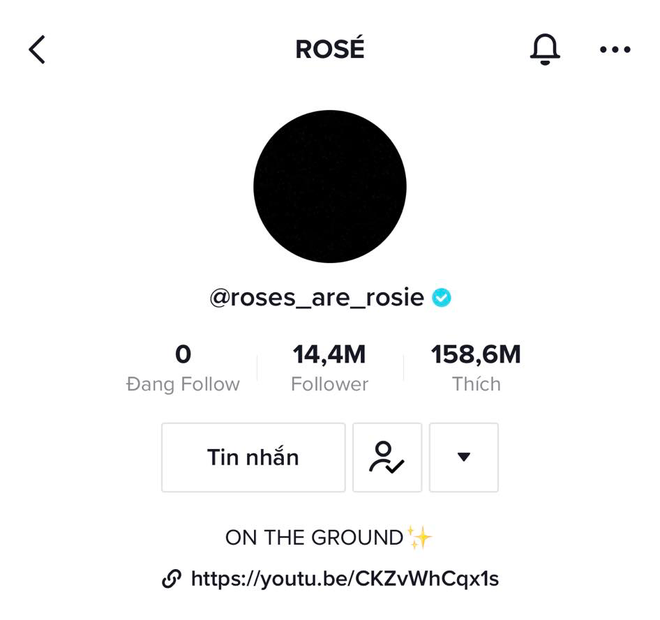 Top 5 nghệ sĩ, nhóm nhạc Kpop có lượng followers khủng nhất trên TikTok, Rosé (BLACKPINK) chỉ đứng thứ 3 vậy top 2 là ai? - Ảnh 5.