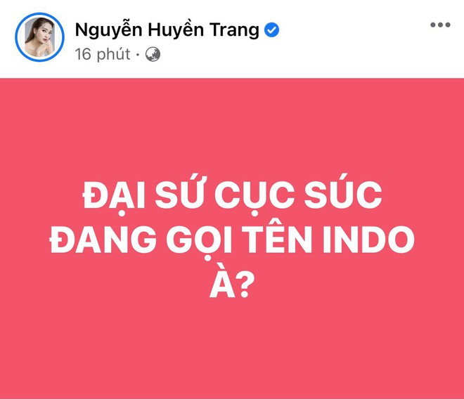 Trương Quỳnh Anh, Nam Thư và dàn sao Việt bày tỏ sự phẫn nộ khi thấy cầu thủ Việt Nam bị đội tuyển Indonesia chơi xấu - Ảnh 7.