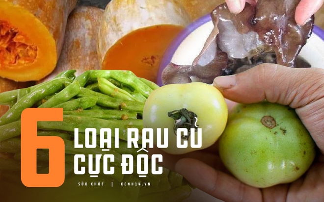 Quiz: 6 loại rau củ cực độc thường xuyên xuất hiện trong căn bếp của nhiều gia đình, bạn có chắc nhà mình không tiêu thụ ít nhất 1 trong số đó? - Ảnh 1.