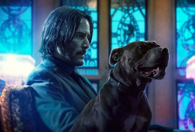 Tiền truyện sát thủ báo thù John Wick hé lộ nội dung, chưa gì đã đụng độ chỉ trích vì lý do trời ơi đất hỡi - Ảnh 1.