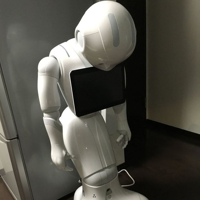 Robot siêu trí tuệ Pepper bị sa thải ở nhiều quốc gia, điều gì khiến các nhà sản xuất phải cúi đầu xin lỗi: Chúng tôi cũng bất lực rồi! - Ảnh 5.