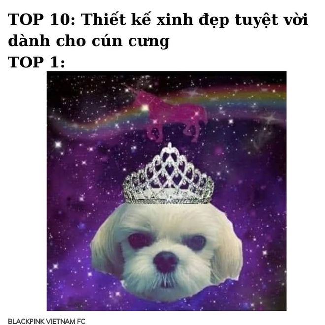 Jisoo (BLACKPINK) và những pha chỉnh ảnh đi vào huyền thoại, biệt danh nữ hoàng công nghệ cũng từ đây mà ra? - Ảnh 4.