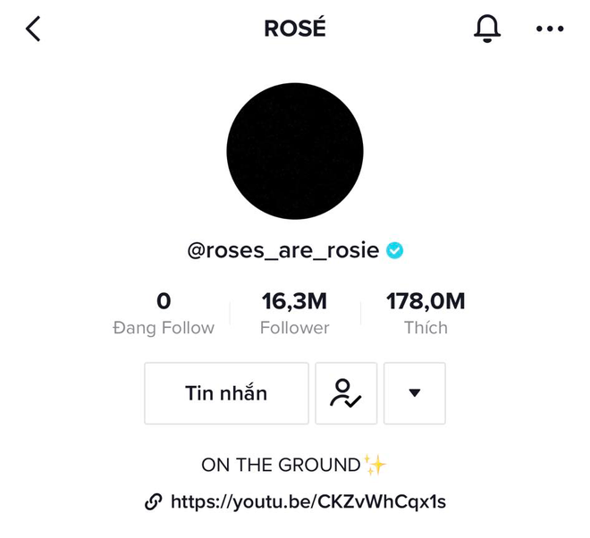 TikTok của Rosé (BLACKPINK) ẩn chứa một bí mật bất ngờ mà nhiều người không hề biết tới? - Ảnh 3.