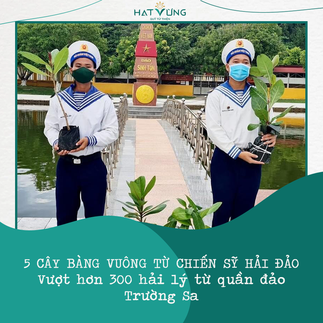 BTV Ngọc Trinh góp đồng hồ giá khủng, 1 Hoa hậu cùng dàn sao khủng livestream đấu giá mua máy thở tặng bệnh viện - Ảnh 16.