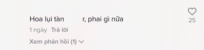 Thanh Thảo suýt biến Hoa Nở Không Màu của Hoài Lâm thành nhạc cải lương và netizen kiểu: Hoa lụi luôn chứ phai gì nữa - Ảnh 5.