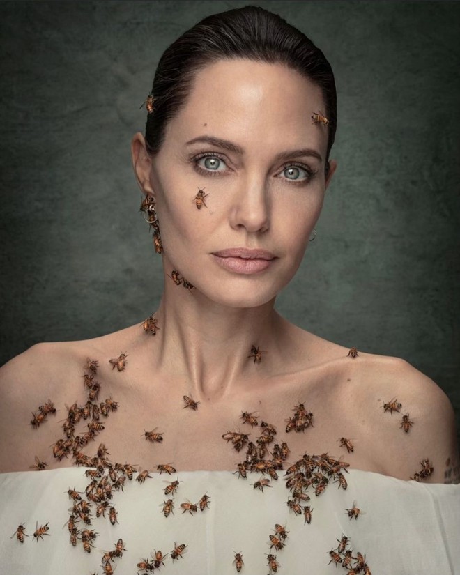 Angelina Jolie chính thức dùng Instagram, ngay post đầu tiên đã khiến fan xôn xao, tán thưởng? - Ảnh 4.