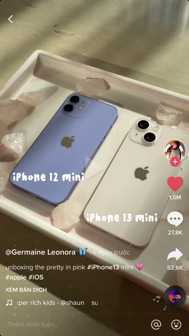 Xem girl xinh hot TikToker đập hộp iPhone 13 màu hồng, hội chị em thất vọng toàn tập? - Ảnh 5.