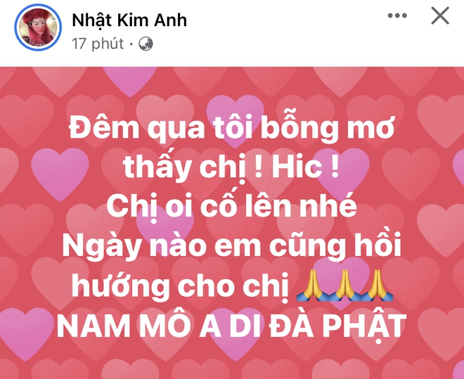 NS Hồng Vân - Nhật Kim Anh và dàn sao Việt đồng loạt hướng lòng nguyện cầu cho Phi Nhung sau thông tin sức khoẻ chuyển biến xấu - Ảnh 2.