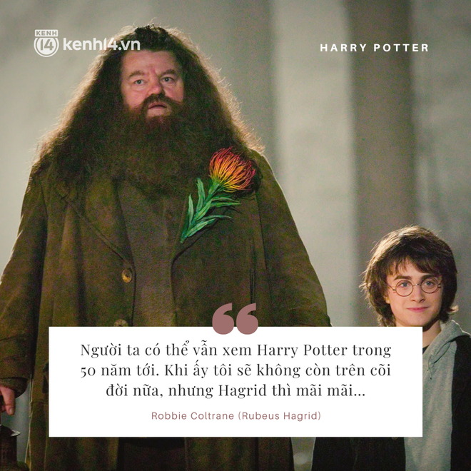 7 quote từ sự kiện Harry Potter 20 năm khiến fan rưng rưng nước mắt: Lụy tim lời tỏ tình của Hermione, bác Hagrid nói 1 câu nghe nhói lòng! - Ảnh 7.