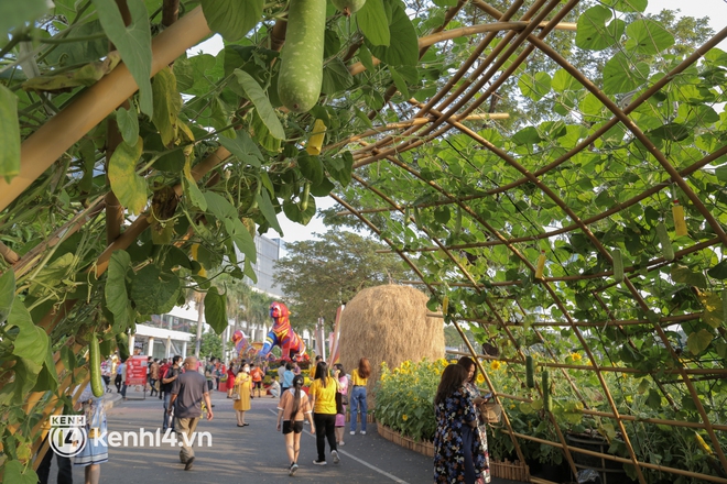 Đường hoa xuân ở phố nhà giàu Phú Mỹ Hưng đậm chất làng quê 3 miền, du khách ùn ùn đến “check in” - Ảnh 6.