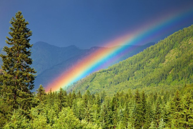 colored-rainbow-over-forest-mountains-1024x682