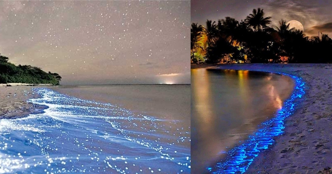 Maldives-beach-1