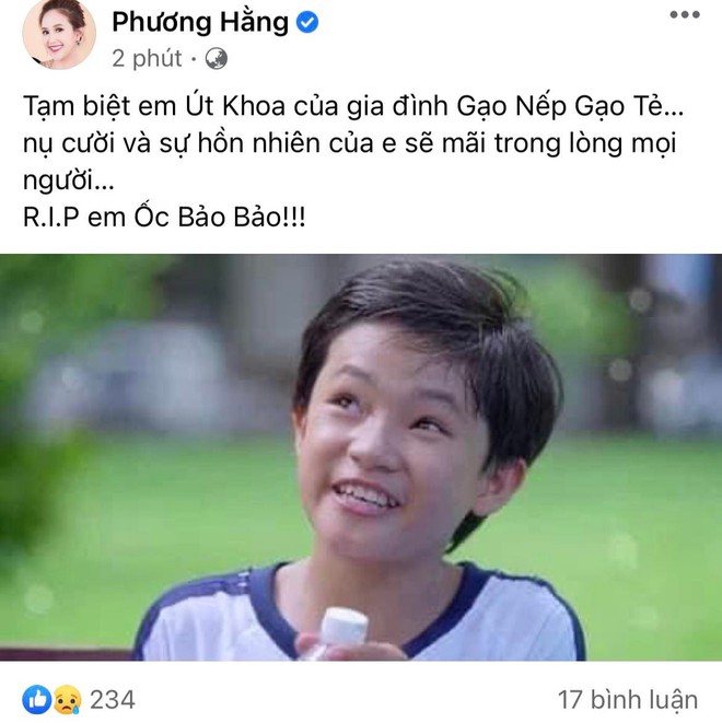 Thuý Ngân, Lê Phương cùng dàn sao đồng loạt chia buồn khi diễn viên nhí Gạo Nếp Gạo Tẻ qua đời ở tuổi 19 - Ảnh 5.