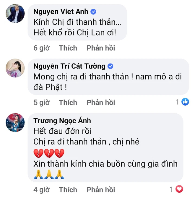 NSND Việt Anh, Trấn Thành và nhiều sao Việt đau xót chia buồn khi NS Hoàng Lan qua đời: Hết đau đớn rồi, chị nghỉ ngơi nhé - Ảnh 4.