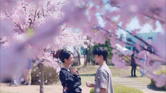 Mê mẩn loạt cảnh hoa anh đào siêu lãng mạn ở phim Hàn: A Business Proposal ngọt đến lụi tim, cái tên cuối đẹp mê hồn - Ảnh 5.