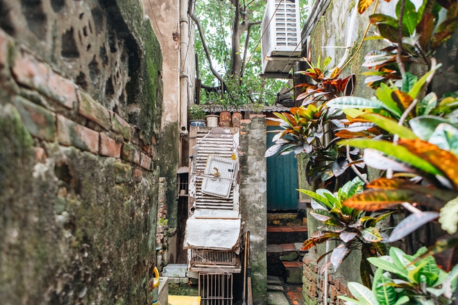 Bên trong những căn biệt thự cũ ở Hà Nội: Có đến 5, 7 hộ gia đình sinh sống chung; tưởng ở đất vàng không ngờ ẩm thấp, chật chội - Ảnh 7.