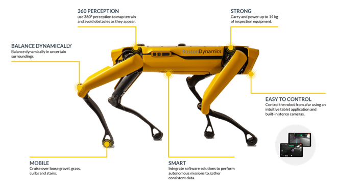 Chú chó robot làm dậy sóng MXH Việt Nam có gì hay, thông minh đến cỡ nào mà có giá lên đến 1,7 tỷ đồng? - Ảnh 7.