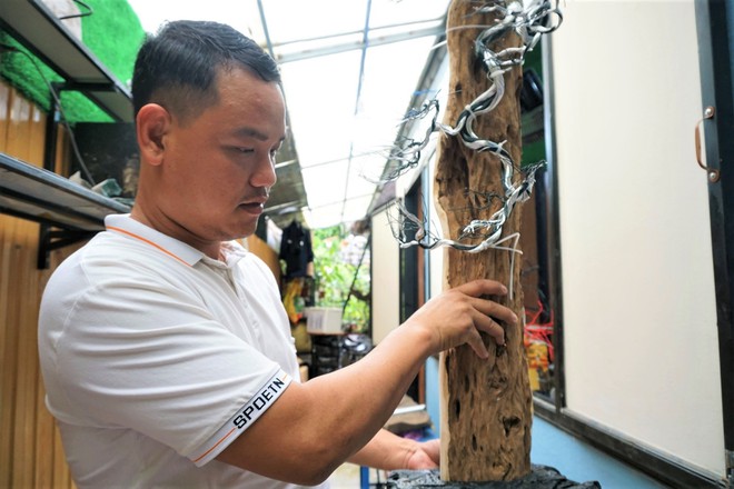 Kỹ sư bỏ việc nghìn đô, về làm bonsai bất tử bán cho đại gia: Doanh thu hơn 100 triệu đồng/ tháng - Ảnh 6.