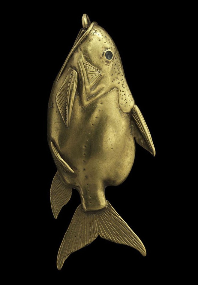 Cá trê bơi ngửa -  loài cá độc đáo tới mức được người Ai Cập dùng hình ảnh làm bùa may mắn - Ảnh 3.