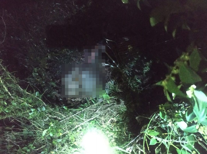Phát hiện thi thể người phụ nữ phân hủy gần sân bay Chu Lai - Ảnh 1.