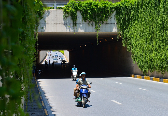 Cận cảnh bức tường xanh hiếm có giữa hầm chui ở Hà Nội giúp người dân giải nhiệt ngày nắng nóng - Ảnh 7.