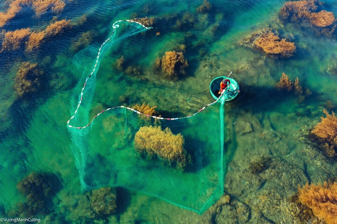 Hình ảnh ngư dân tung lưới đánh cá đầy ảo diệu ở Bình Định khiến ai cũng trầm trồ về cảnh sắc Việt Nam - Ảnh 4.