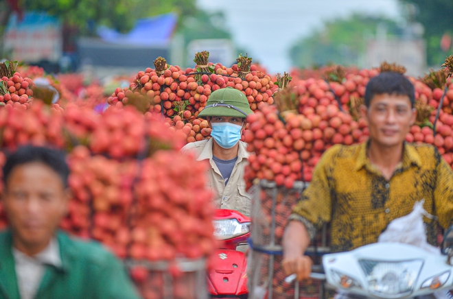 Ảnh: Người dân Bắc Giang cõng hàng tạ vải thiều đi bán từ 5h sáng khiến đường phố đỏ rực, tắc dài - Ảnh 3.