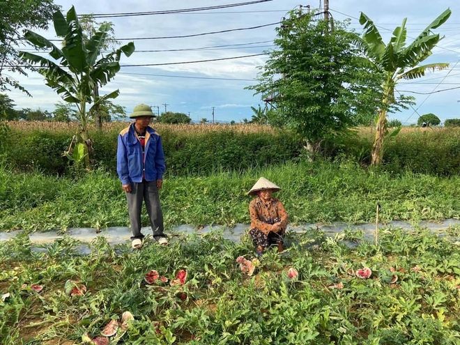 Vợ chồng lão nông bị phá hoại ruộng dưa hấu: Nếu mình không tha thì bố mẹ những đứa trẻ mới là người tổn thương nhiều nhất - Ảnh 3.