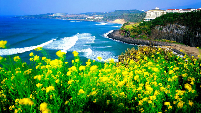 7 lý do vì sao Jeju là địa điểm tuyệt vời nhất để ghé thăm trong mùa thu - Ảnh 2.