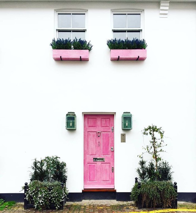 colorful-front-doors-photography-london-bella-foxwell-28-5c36fa0e76b05__700