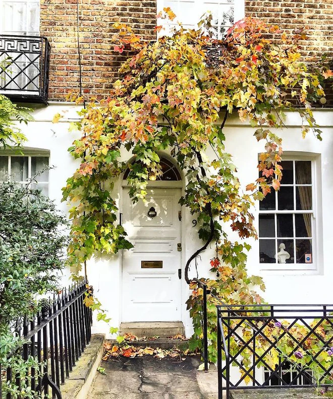 colorful-front-doors-photography-london-bella-foxwell-31-5c36fa14a8ac0__700