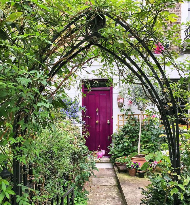 colorful-front-doors-photography-london-bella-foxwell-5-5c36f9de88271__700