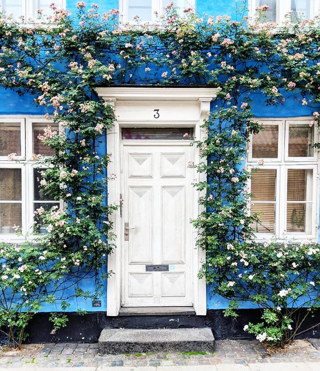 colorful-front-doors-photography-london-bella-foxwell-52-5c36fa45f3fa1__700